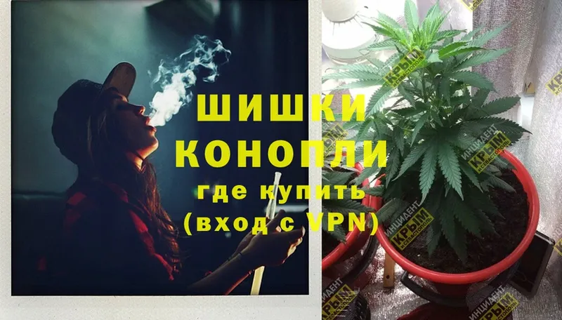 кракен как войти  Сафоново  Бошки марихуана OG Kush  что такое  